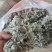 茵陈白蒿天然野生当天收货可加冰保鲜