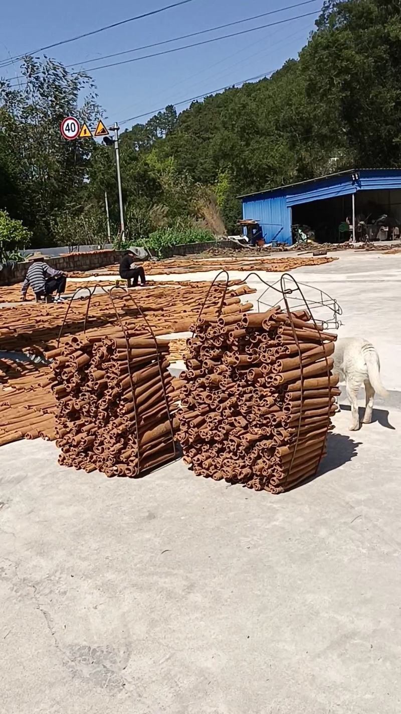 [岭南油桂]特厚高去皮通味辛温主百病养精神药膳同源薄肉桂