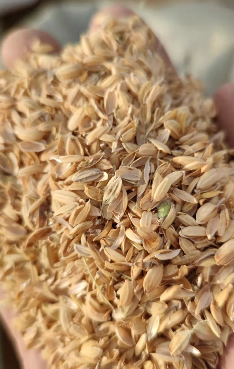 稻壳除尘稻壳养殖垫料酿造制造全国发货
