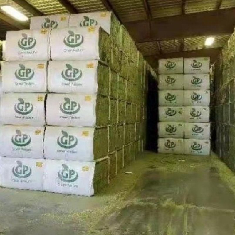 美国苜蓿草GP进口苜蓿草美国产区中国天津港口接货
