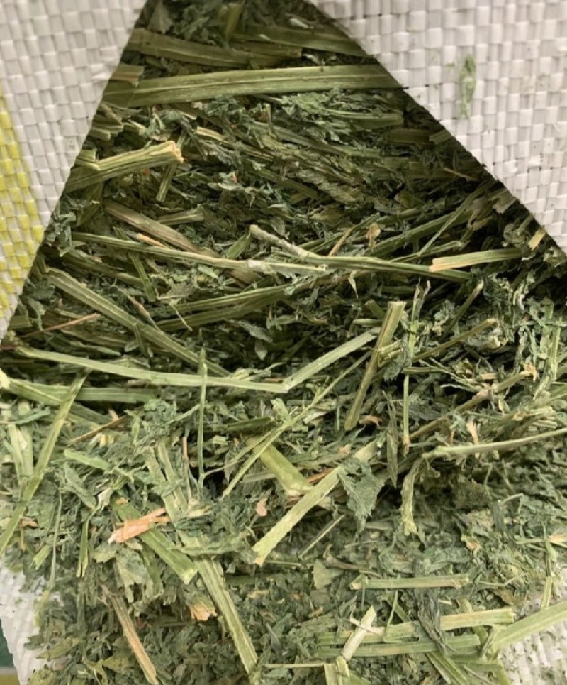 美国苜蓿草GP进口苜蓿草美国产区中国天津港口接货