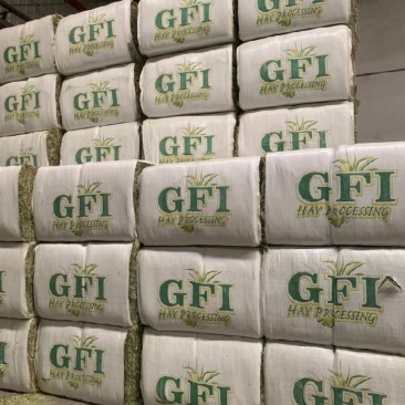 美国进口苜蓿草GFI进口苜蓿草天津港口提货
