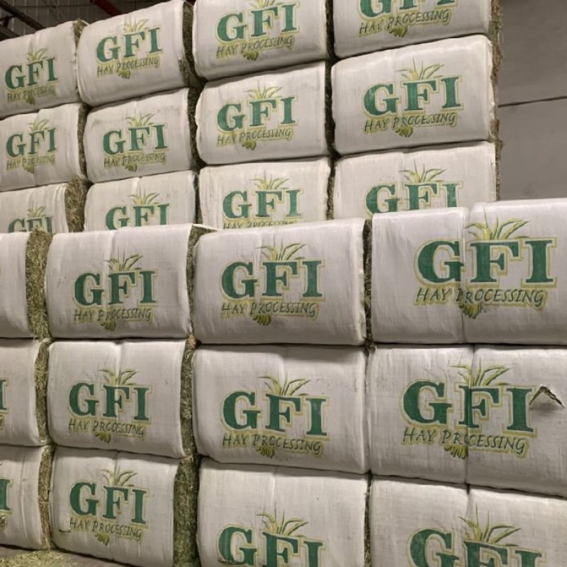 美国进口苜蓿草GFI进口苜蓿草天津港口提货