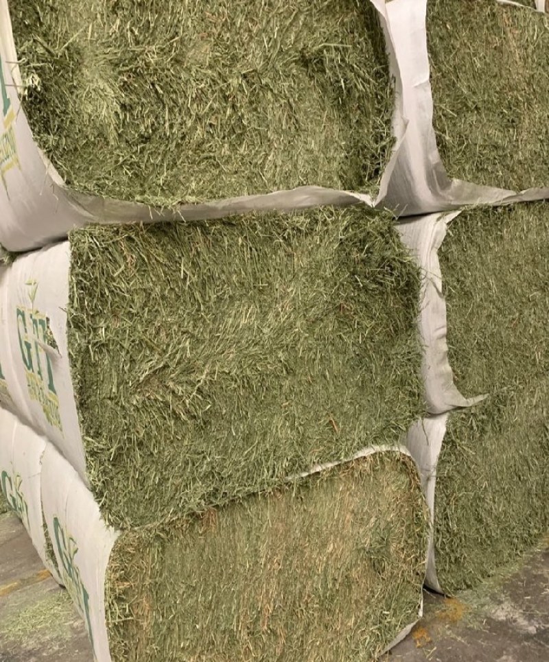 美国进口苜蓿草GFI进口苜蓿草天津港口提货