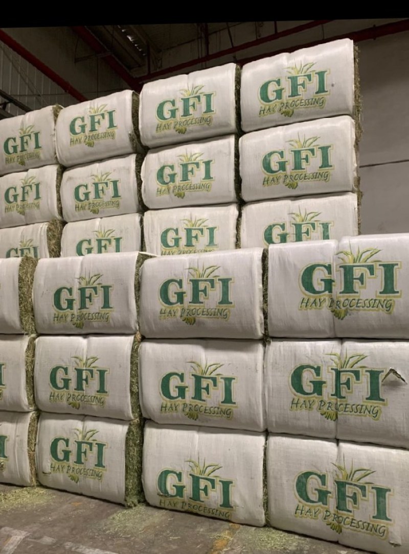 美国进口苜蓿草GFI进口苜蓿草天津港口提货