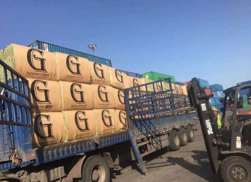 美国苜蓿草大G进口苜蓿草大G进口苜蓿草优质苜颜色漂亮