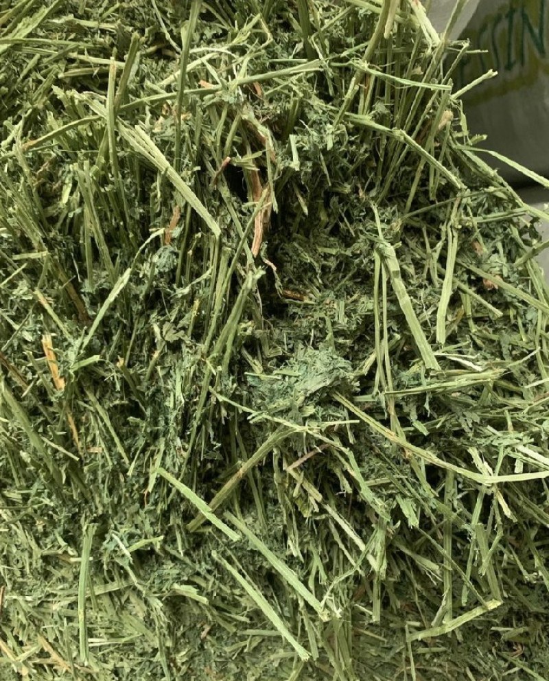 美国苜蓿草大G进口苜蓿草大G进口苜蓿草优质苜颜色漂亮