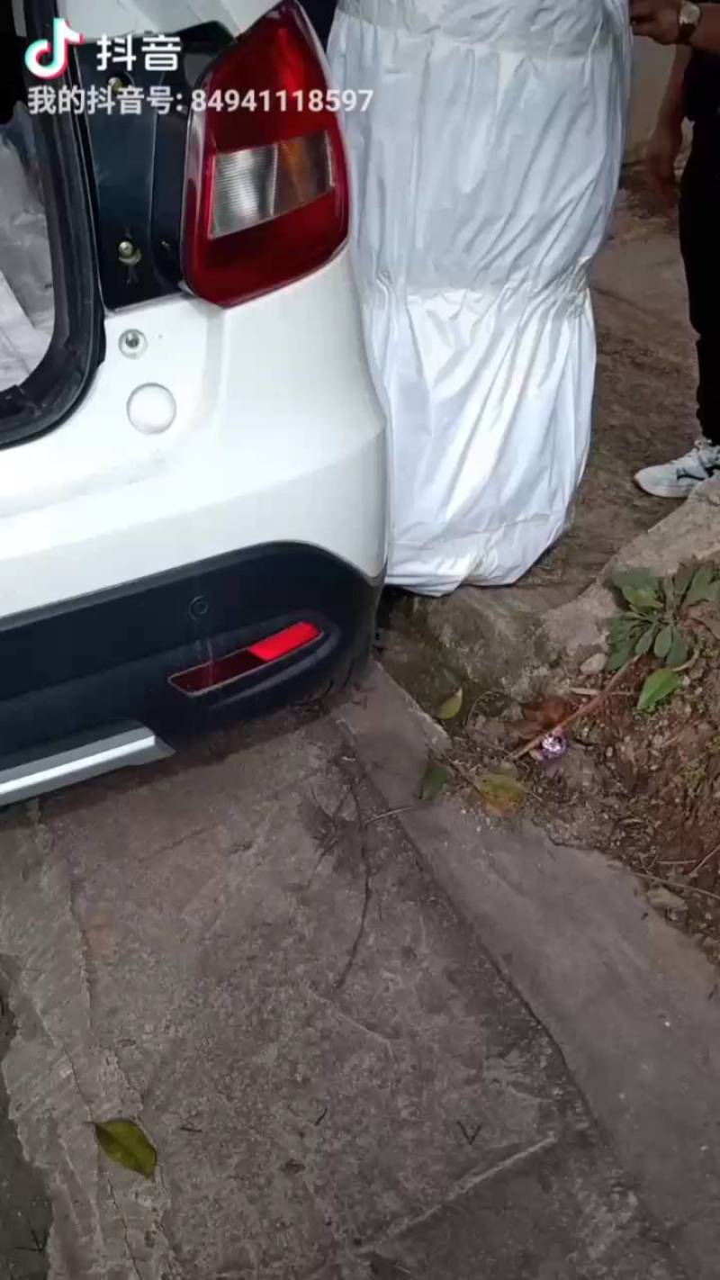 苗木种苗，柑橘苗，沃柑苗，晚熟品种，四月份成熟。