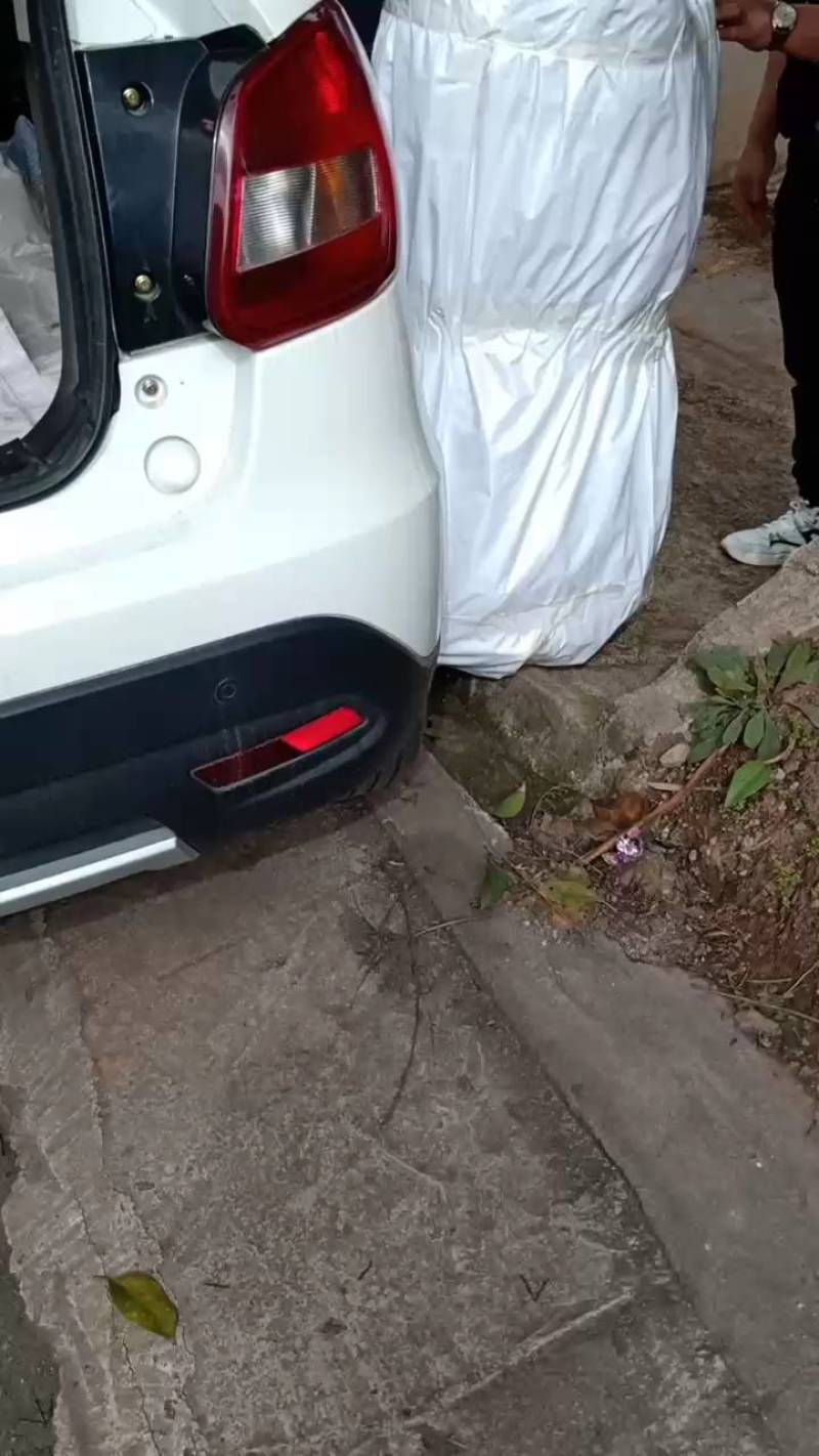 苗木种苗，柑橘苗，沃柑苗，晚熟品种，四月份成熟。