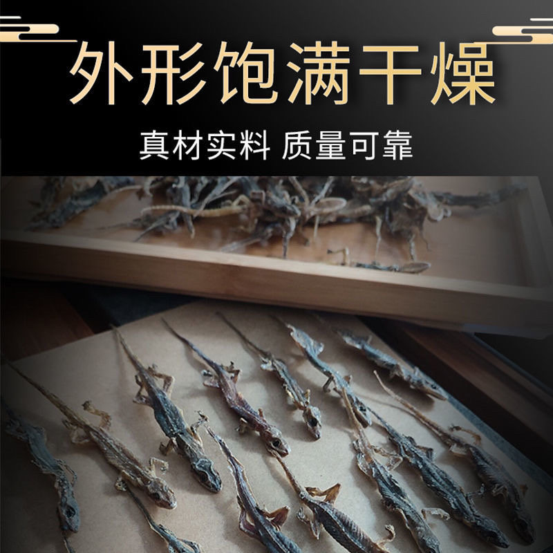 中药材壁虎壁虎干守宫天龙一手货源包邮