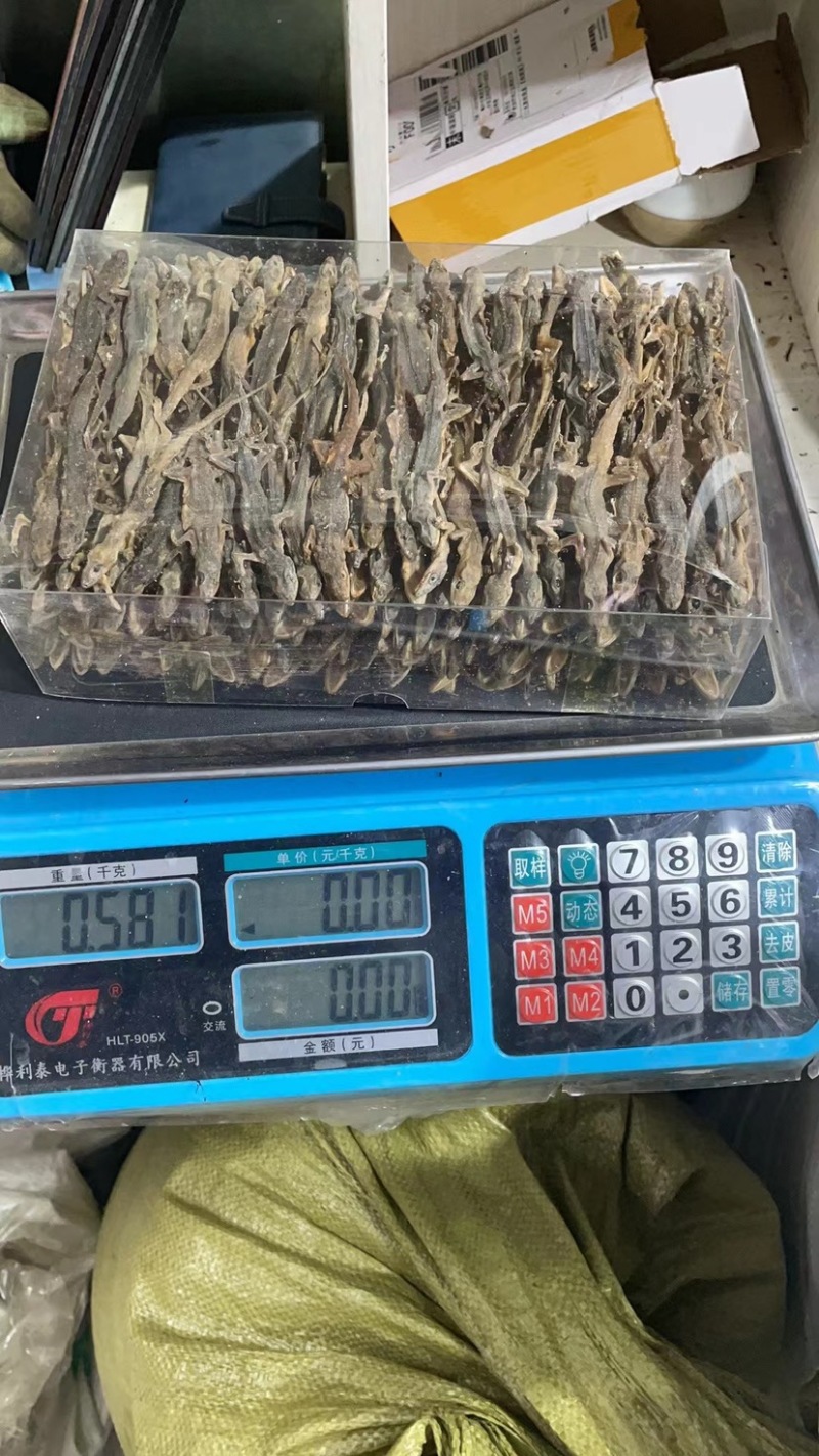 中药材壁虎壁虎干守宫天龙一手货源包邮