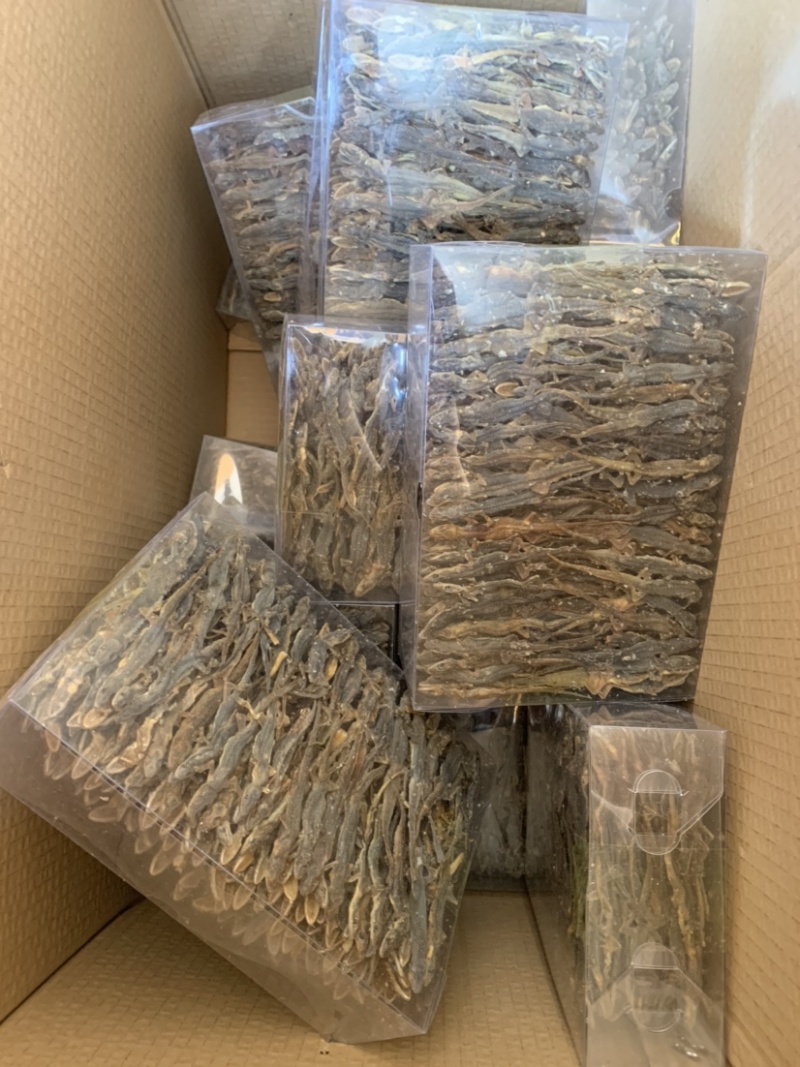 中药材壁虎壁虎干守宫天龙一手货源包邮