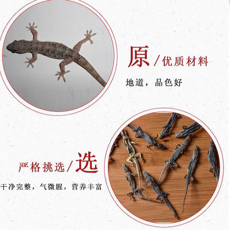 中药材壁虎壁虎干守宫天龙一手货源包邮