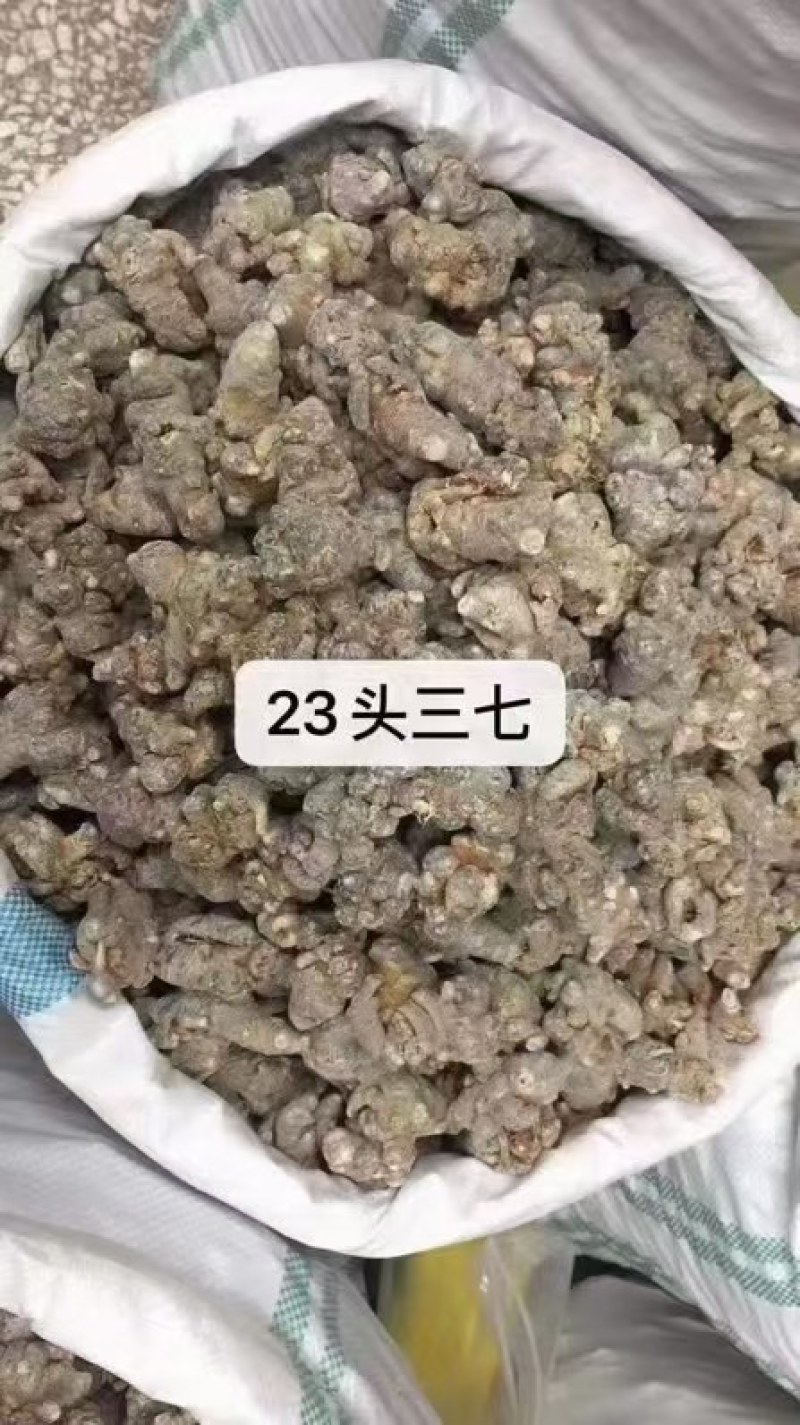 文山三七批发