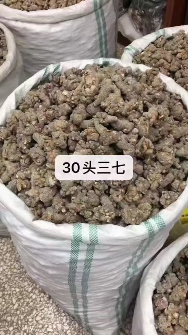 文山三七批发