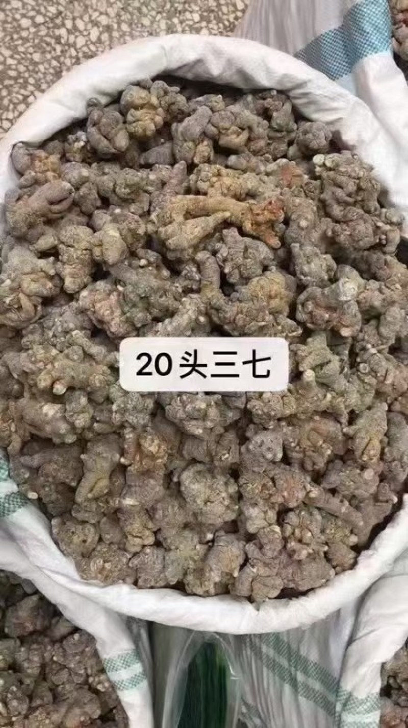 文山三七批发