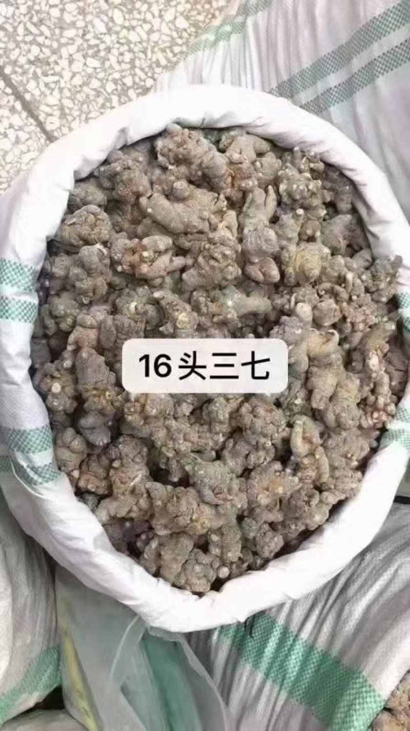 文山三七批发