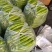 尖椒温室大棚尖椒，无农药残留，产地直发，纯绿色食品。