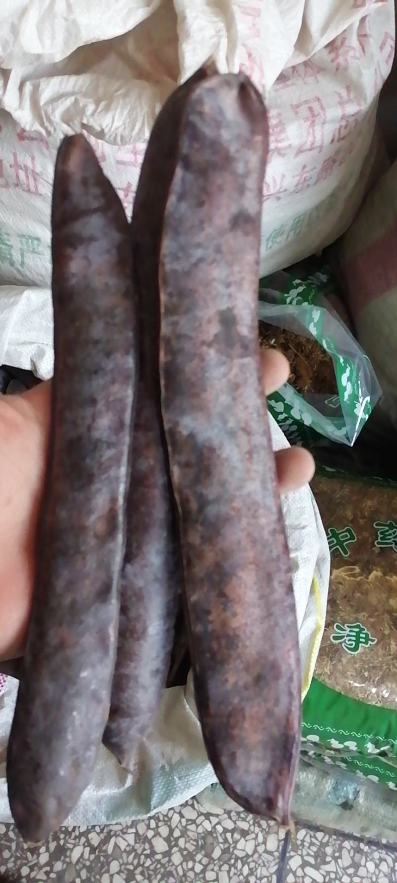 皂角大皂角皂角段皂角个子干货无硫不满意可退