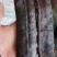 皂角大皂角皂角段皂角个子干货无硫不满意可退