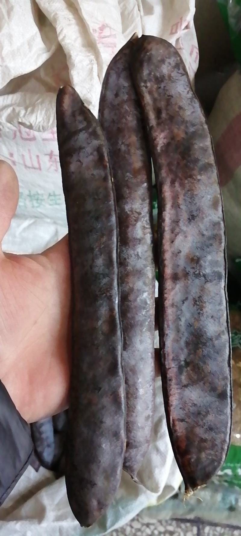 皂角大皂角皂角段皂角个子干货无硫不满意可退