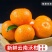 云南新鲜沃柑批发出售价格优惠下单现摘