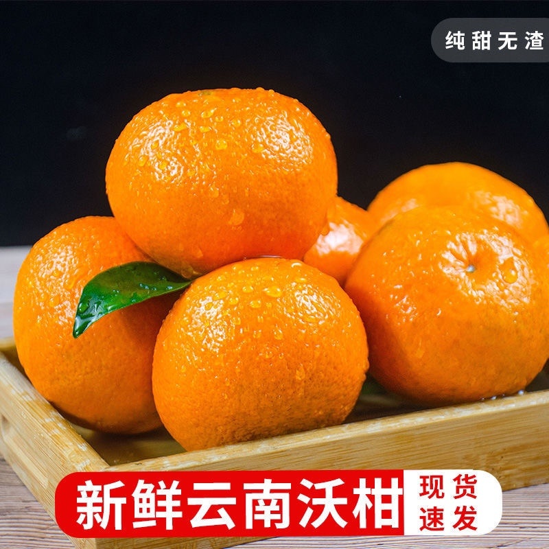 云南新鲜沃柑批发出售价格优惠下单现摘