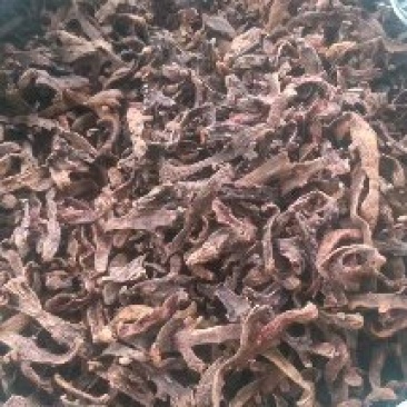 骨碎补