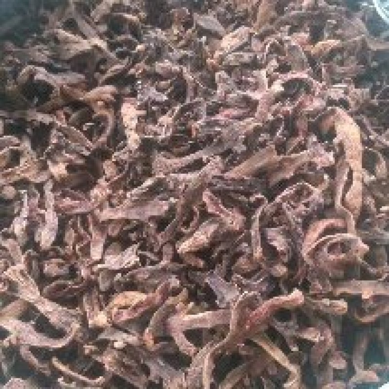 骨碎补
