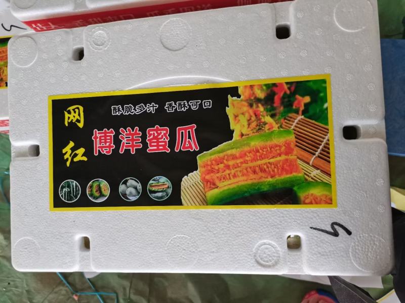 山东莘县博洋甜瓜大量上市，专业对接商超、电商，市场批发