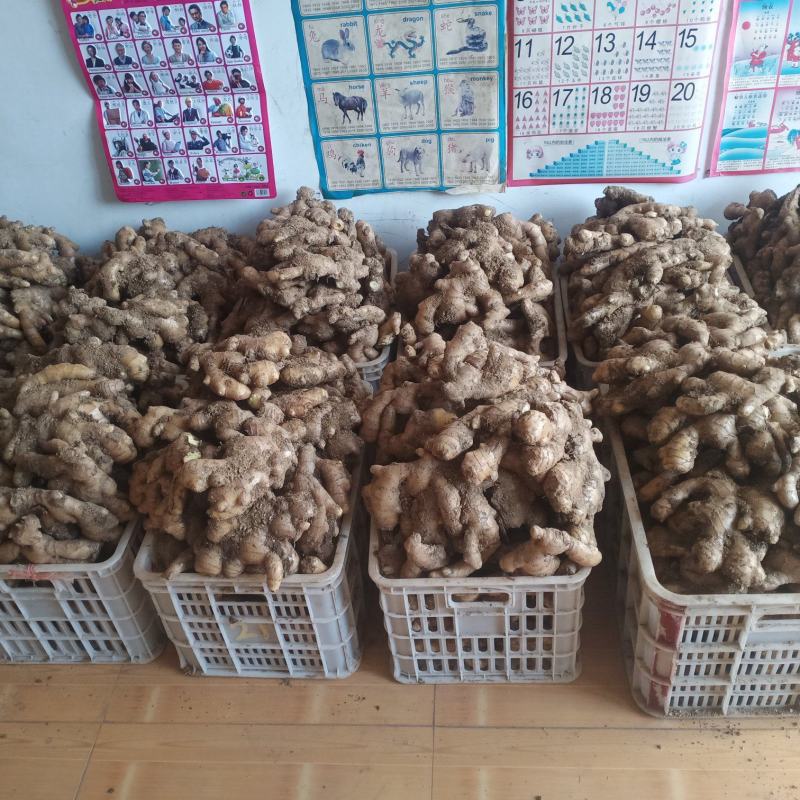 生姜