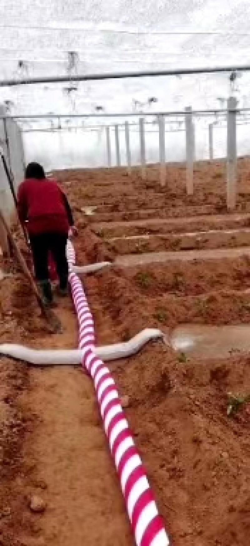 布水袋发货中。大量供应规格齐全品质保证售后无忧