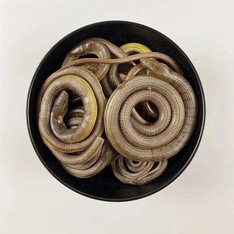 脆蛇，一手货源，产地直供道地药材，正品保证，50克起批发