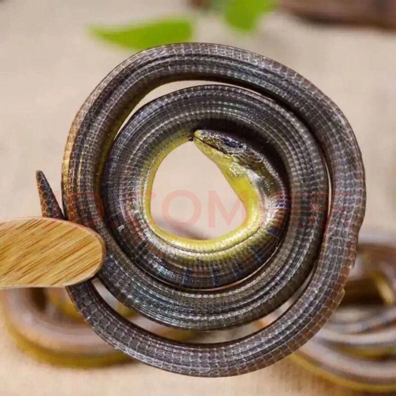 脆蛇，一手货源，产地直供道地药材，正品保证，50克起批发