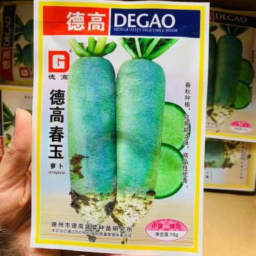 新品种杂交萝卜种子肉质脆甜耐抽苔四季农村南方北方蔬菜种子