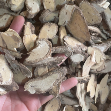黑骨藤冷门药材批发零售无硫量大包邮中药材中药材