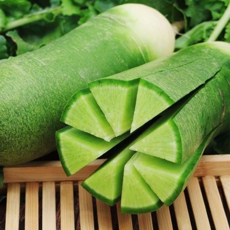 新品种杂交萝卜种子肉质脆甜耐抽苔四季农村南方北方蔬菜种子