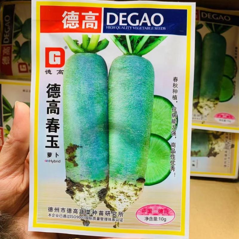 新品种杂交萝卜种子肉质脆甜耐抽苔四季农村南方北方蔬菜种子