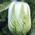 黄心白菜，净菜平均4.5.6.斤，无任何病虫害