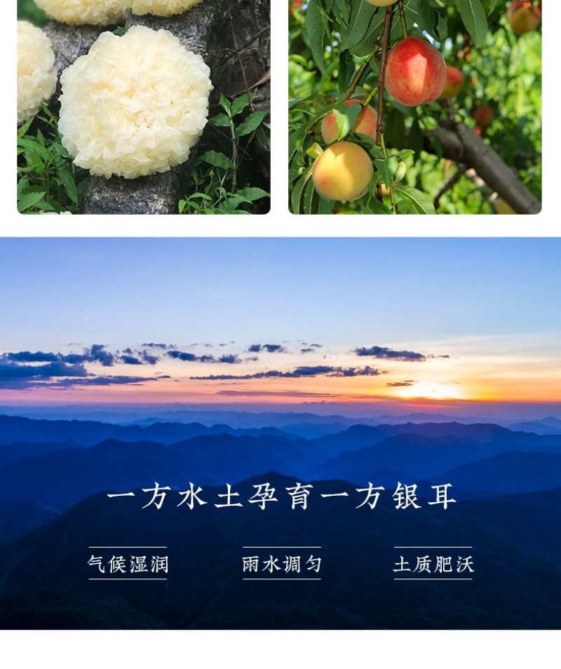 银耳开罐即食出口日本韩国欧美厂家直销放心购