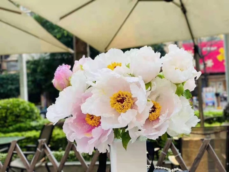 一件代发包邮油画牡丹鲜切花一扎10支云南鲜花直发招代理