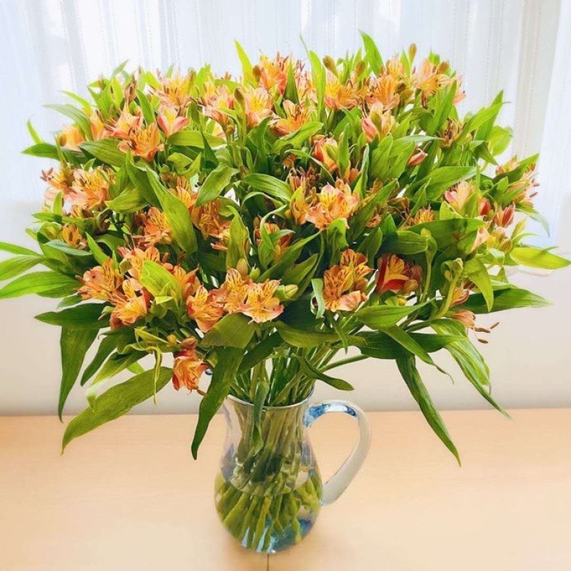 水仙百合橙色六初花10支云南鲜花鲜切花批发一件代发包邮