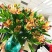 水仙百合橙色六初花10支云南鲜花鲜切花批发一件代发包邮