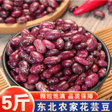 【包邮5斤红花豆】东北农家花芸豆红花豆斑马豆