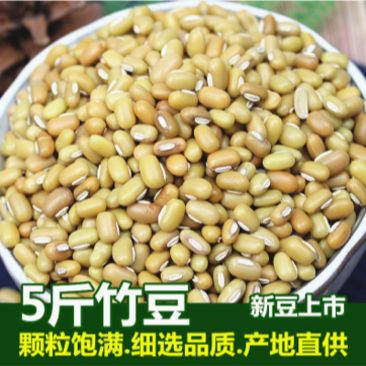 【包邮_5斤竹豆】云南农家自产饭豆眉豆竹豆3斤5斤装竹豆