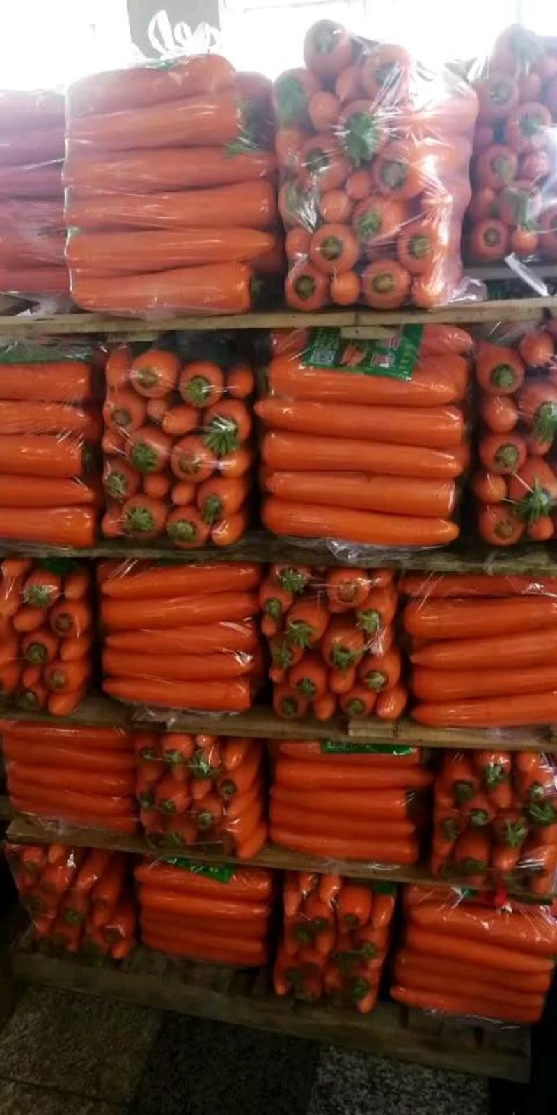 精品胡萝卜大量供货，水洗货、中条，小条B品大头，对接商超
