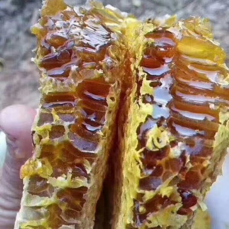 蜂蜜～天然土蜂蜜，深山里的的百花蜜
