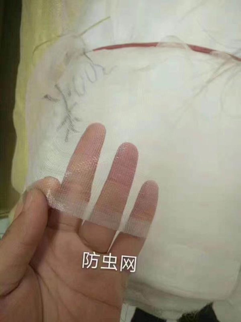 40目防虫网1-3米宽大棚防害虫宽度可以缝合订制