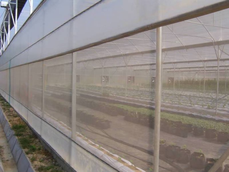 40目防虫网1-3米宽大棚防害虫宽度可以缝合订制