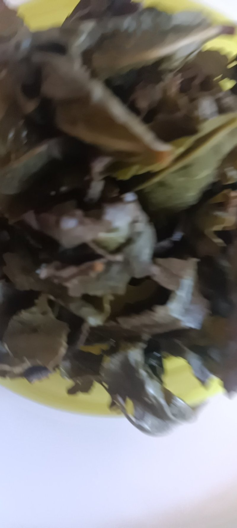 农家自种的苦菜干，新鲜质量好，1斤为—件包邮。